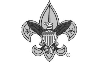 BSA Logo